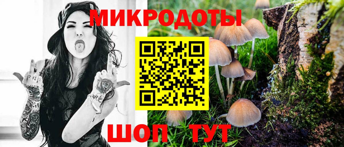 Псилоцибиновые грибы Psilocybine cubensis Орск